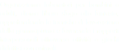 Organizziamo laboratori per bambini e adulti, diamo libero sfogo alla fantasia, approfondendo le tecniche di lavorazione della gommapiuma e favorendo i rapporti interpersonali attraverso attività e giochi didattici con animali.